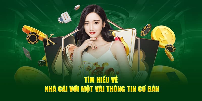 Tổng quan về nhà cái VIVU88