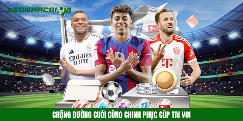 Chặng đường cuối cùng chinh phục cúp tai voi